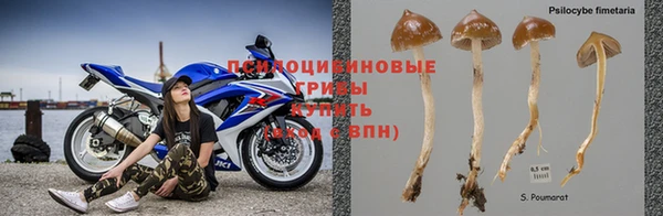 первитин Армянск