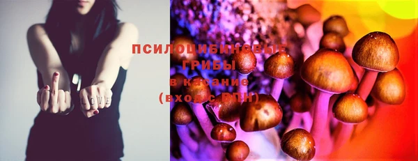 не бодяженный Аркадак