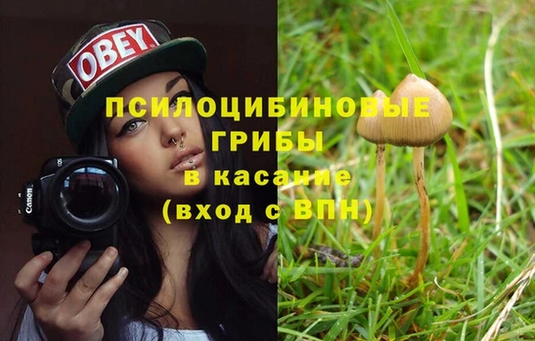 не бодяженный Аркадак