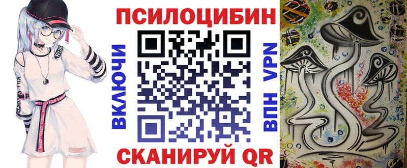 МЕГА зеркало  купить  сайты  Волгодонск  shop наркотические препараты  Псилоцибиновые грибы Cubensis 