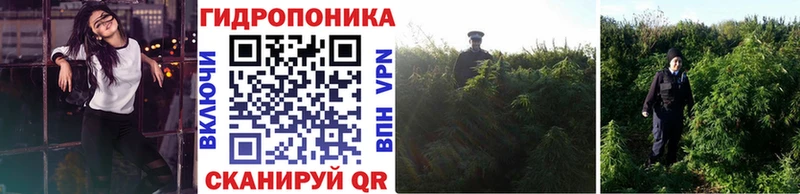 Конопля THC 21%  где можно купить   Волгодонск 